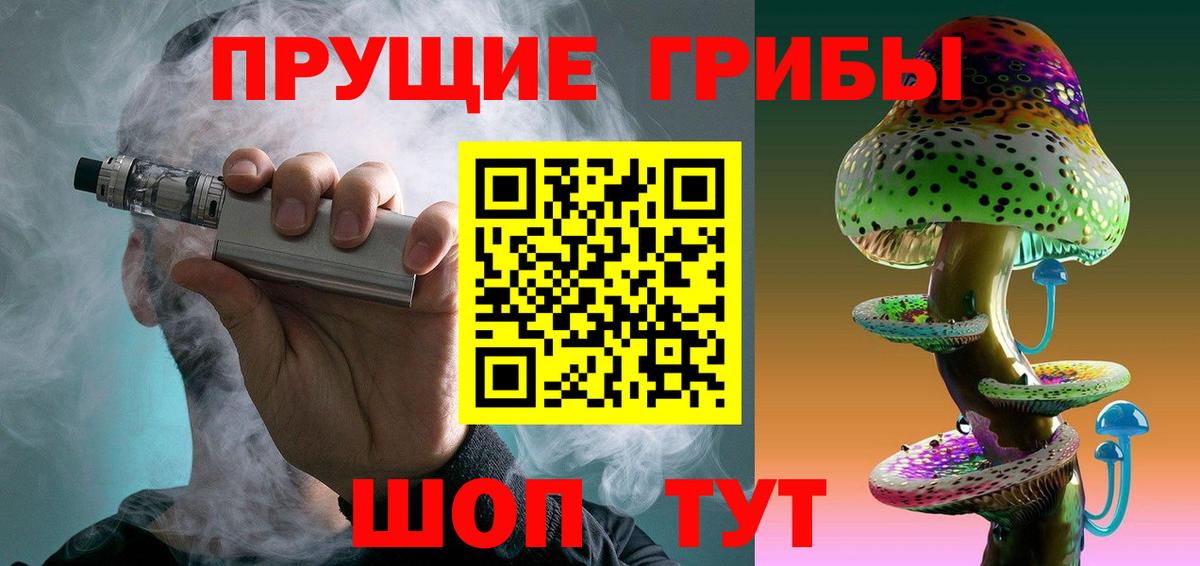 Галлюциногенные грибы GOLDEN TEACHER  дарнет шоп  Кудрово  Вход с VPN  Псилоцибиновые грибы GOLDEN TEACHER 